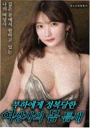 放映题材动画电影海报